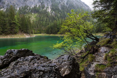 the most beautiful lake in Austria green lakeの写真素材