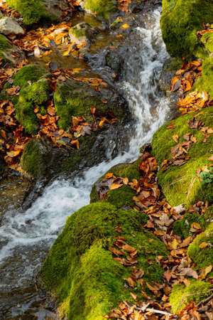 walking along the riverの写真素材