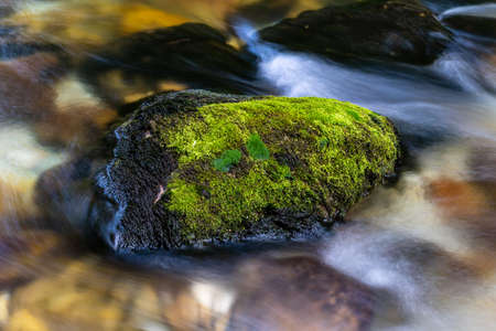 walking along the riverの写真素材