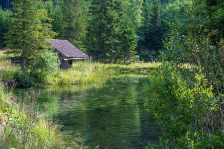hiking in green Styriaの写真素材