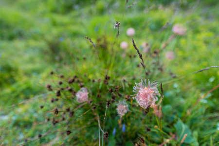 hiking in the high mountains of Tirolの写真素材