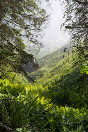 fog in the Alpsの写真素材