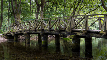 footbridge in the forest Styriaの写真素材