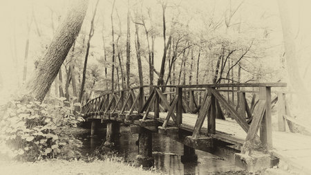 footbridge in the forest Styriaの写真素材