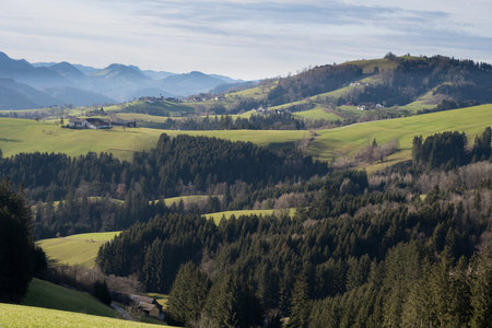 autumn the bright colors in the forestの写真素材