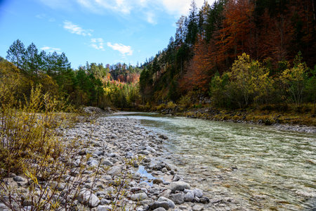 Mountain river in the autumn forest. The concept of active and ecological tourism