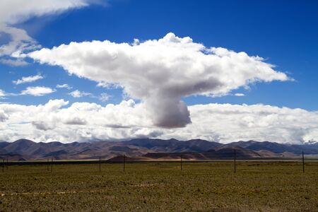 A whale in the skyの写真素材