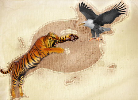 tiger and king of birdsの写真素材