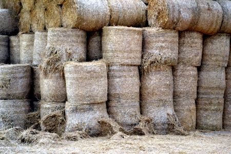 Hay Balesの写真素材