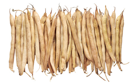 Pods dry beans isolated on white background.