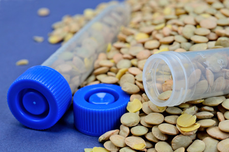 green lentil on table with tubeの写真素材