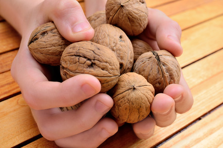 hand hold walnut on woodne tableの写真素材