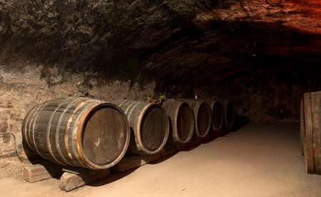 Wine barrels in a traditional cellar