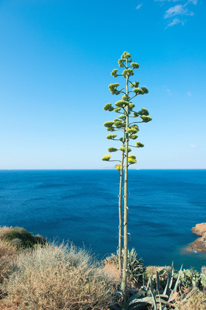 View on Aegean sea in Greeceの写真素材