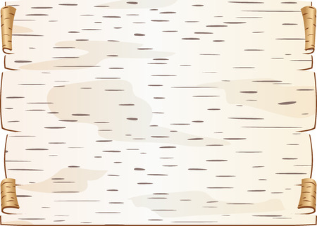 Piece of birch bark Twisted and chinked Template Blank for epistleのイラスト素材