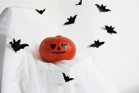 Black paper bats and cute pumpkinの写真素材