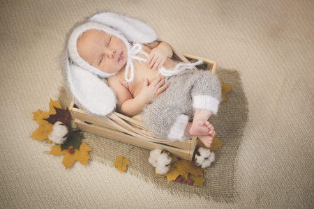 Newborn boy in a box in a bunny suitの写真素材