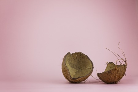 Chopped in half coconut on a pink background