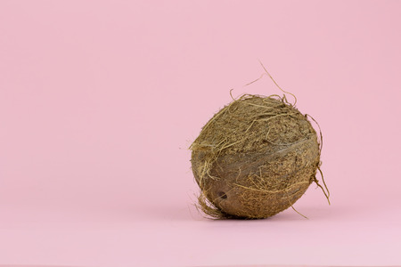 A whole coconut on a gently pink backgroundの写真素材
