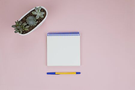 Succulents and notepad with pen on a pink backgroundの写真素材