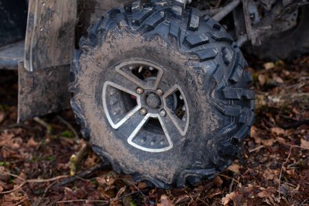 Close-up of a huge buggy wheel in old and wet foliageの写真素材