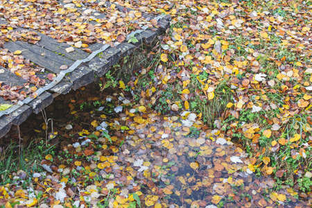 Old wooden bridge and wet autumn leaves below. Mood of sadness and autumn depressionの写真素材
