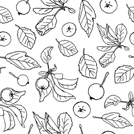Vector seamless pattern of black and white hand-drawn apples. Autumn repeat pattern. Fall background. Monochrome illustration of paradise apples with leavesのイラスト素材