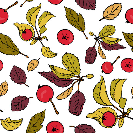 Vector seamless pattern of colored hand-drawn apples. Autumn repeat pattern. Fall background. Illustration of paradise apples with leavesのイラスト素材