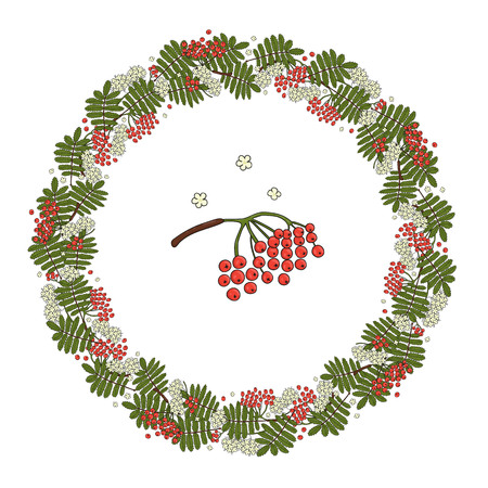 Vector wreath of rowan leaves, flowers and berries. Hand drawn cartoon style illustration. Cute autumn frame for wedding, holiday, back to school or card designのイラスト素材