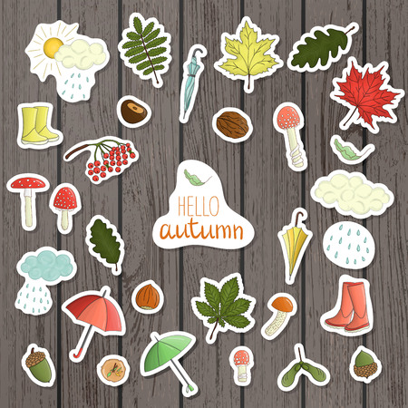Vector set of colored autumn stickers on shabby wood background. Fall illustration of isolated leaves, umbrella, rain, mushroom, rubber boots, nut, acorn, cloud. Cartoon styleのイラスト素材