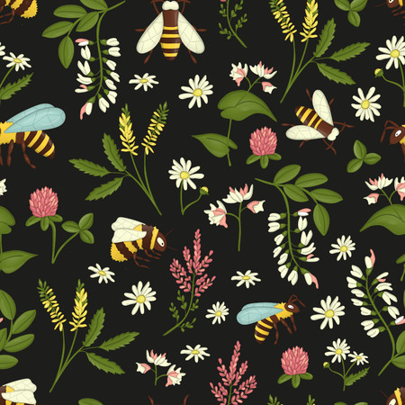 Vector seamless pattern of wild flowers, bees and bumblebees. Repeating background with meadow or field insects, acacia, heather, camomile, buckwheat, clover, melilotのイラスト素材