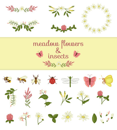 Vector set of colored wild flowers elements and insects. Collection of bee, bumblebee, dragonfly, ladybug, moth,butterfly, acacia,heather,camomile,buckwheat,clover,melilot.のイラスト素材