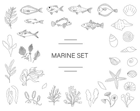 Vector  black and white set of fish, sea shells, seaweeds isolated on white background. Colorful marine collection. Underwater illustrationのイラスト素材