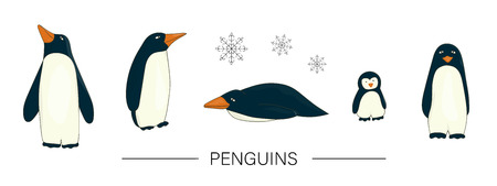 Vector  colored set of cute cartoon style penguins isolated on white background. Colorful collection of winter animals. Antarctic birds illustrationのイラスト素材