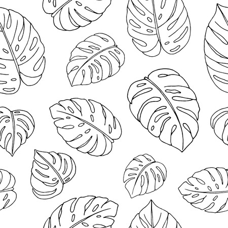 Vector seamless pattern of hand drawn monstera leaves on white background. Repeat tropical backdrop. Exotic jungle wallpaper.のイラスト素材