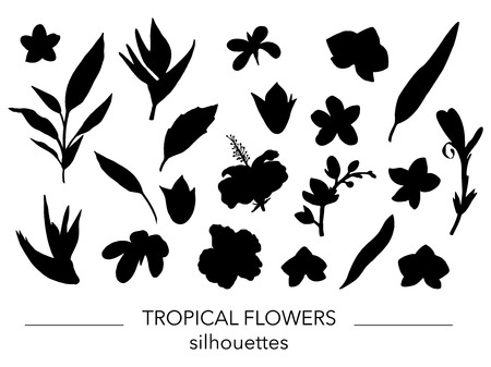 Vector set of tropical leaves and flowers silhouettes. Stencil of jungle foliage. Hand drawn palm tree,  banana,  monstera,  dieffenbachia,  fern,  alocasia,  plumeria, orchid,  strelitzia,  hibiscus. Home tropic leaf clip artのイラスト素材