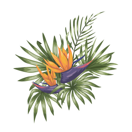 Vector tropical composition of strelitzia flowers,  monstera and palm leaves isolated on white background. Bright realistic watercolor style exotic design elements.のイラスト素材