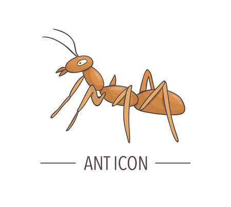 Vector colored ant icon isolated on white background. Colored cartoon style insect illustration. Bug logoのイラスト素材