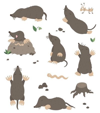Vector set of cartoon style flat funny moles in different poses with ant, worm, leaves, stones clip art. Cute illustration of woodland animals for childrenâs design.のイラスト素材