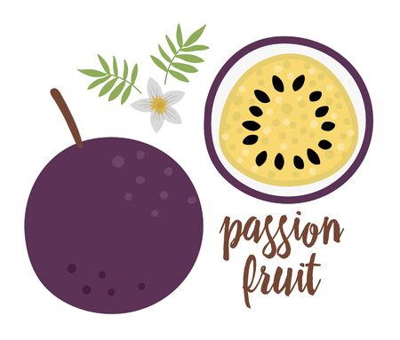 Vector passion fruit clip art. Jungle fruit illustration. Hand drawn flat exotic plants isolated on white background. Bright childish healthy tropical summer food illustration.
のイラスト素材