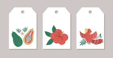 Set of vector summer gift tags, labels, pre-made designs with tropical bird, flowers, fruit. Funny exotic card templates with cute jungle characters.のイラスト素材