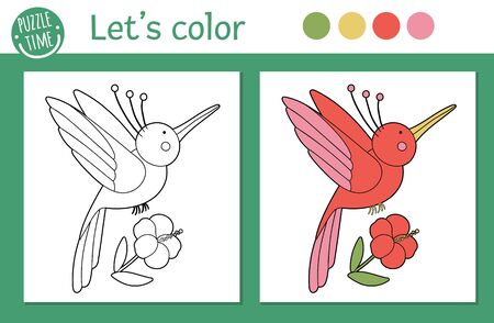 Tropical coloring page for children. Vector humming bird with flower illustration. Cute funny animal character outline. Jungle summer color book for kids with colored version and exampleのイラスト素材