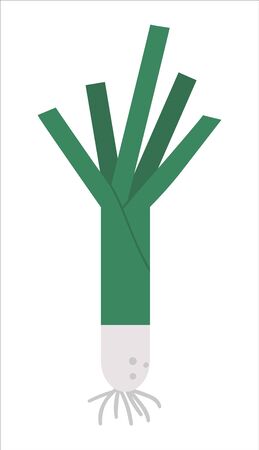 Vector leek on white background. Healthy food icon. Vegetable illustration. Flat hand drawn organic nutrition clipart. 
のイラスト素材