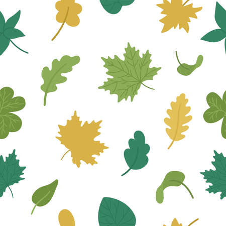 Vector seamless pattern with cute autumn leaves. Flat style repeat background with fall greenery. Funny falling maple, oak, chestnut leaf texture on white backgroundのイラスト素材