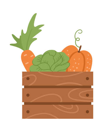 Vector cute wooden case with carrot, cabbage, pumpkin. Autumn harvest concept. Funny vegetable illustration isolated on white background. Flat style healthy food iconのイラスト素材