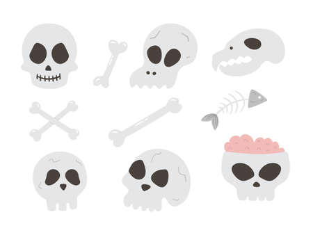 Set of vector skulls and bones. Halloween party illustration with human and animal skeletons. Scary design for Autumn Samhain party. All saints day elements collection.のイラスト素材