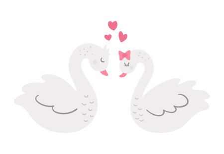 Vector cute swans pair. Loving couple illustration. Love relationship or family concept. Romantic birds isolated on white background. Funny Valentine's day characters.のイラスト素材