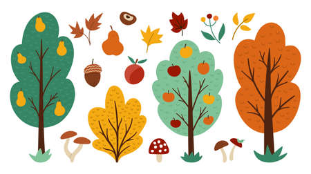 Vector set of autumn forest or garden fruit trees, plants, shrubs, bushes, mushrooms isolated on white background. Fall apple and pear garden illustration. Natural greenery icons collectionのイラスト素材