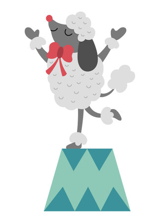 Poodle on a stand. Vector circus animal. Amusement holiday dog icon. Cute funny festival character clip art. Street show comedian illustrationのイラスト素材