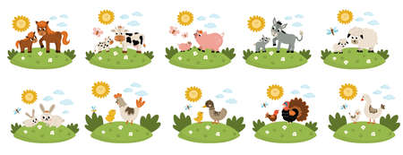 Vector farm animal scenes set. Collection with cow, horse, goat, sheep, duck, hen, pig and their babies. Cute country mother and baby illustration with grass background, sun, cloudsのイラスト素材